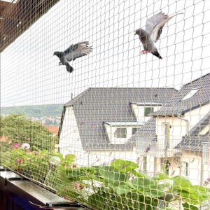 Pigeon Net