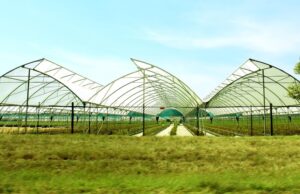 Agro Shade Nets