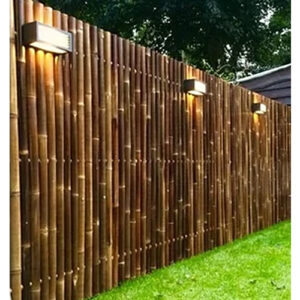 Bamboo Fencing